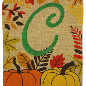 Fall Pumpkin C Burlap - Harvest & Autumn Fall Vertical Applique Decorative Flags HGE80275 Imported