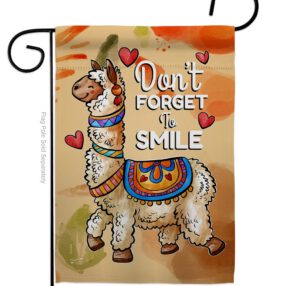 Don't Forget to Smile - Expression Inspirational Vertical Impressions Decorative Flags HG137092 Made In USA