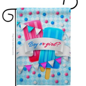 Gender Reveal - Family Special Occasion Vertical Impressions Decorative Flags HG137609 Made In USA