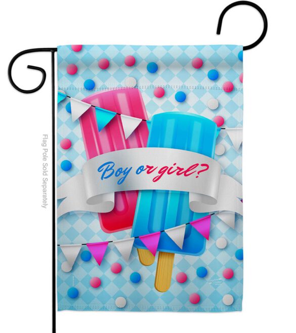 Gender Reveal - Family Special Occasion Vertical Impressions Decorative Flags HG137609 Made In USA