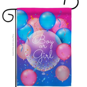 Boy Or Girl - Family Special Occasion Vertical Impressions Decorative Flags HG192675 Made In USA
