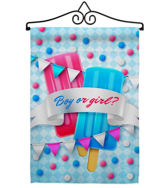 Gender Reveal - Family Special Occasion Vertical Impressions Decorative Flags HG137609 Made In USA - Image 7