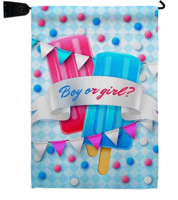 Gender Reveal - Family Special Occasion Vertical Impressions Decorative Flags HG137609 Made In USA - Image 9