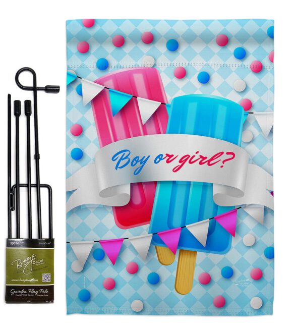 Gender Reveal - Family Special Occasion Vertical Impressions Decorative Flags HG137609 Made In USA - Image 4