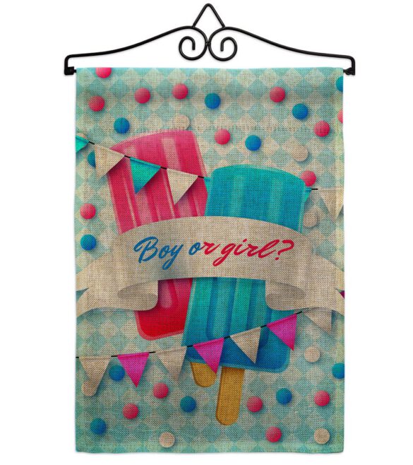 Gender Reveal - Family Special Occasion Vertical Impressions Decorative Flags HG137609 Made In USA - Image 19
