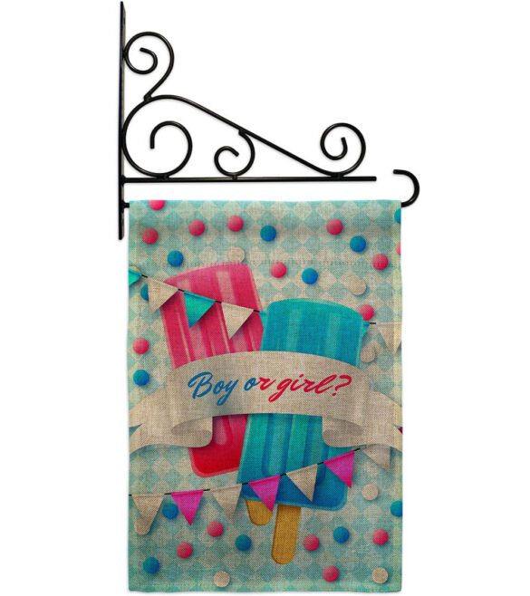 Gender Reveal - Family Special Occasion Vertical Impressions Decorative Flags HG137609 Made In USA - Image 20