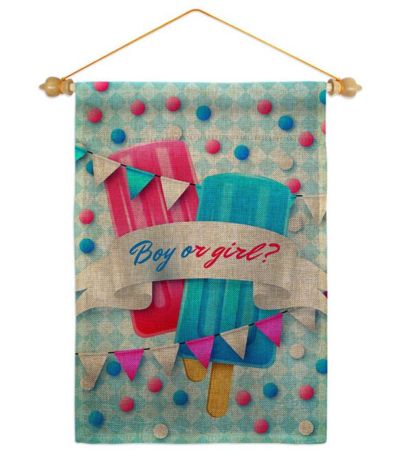 Gender Reveal - Family Special Occasion Vertical Impressions Decorative Flags HG137609 Made In USA - Image 22