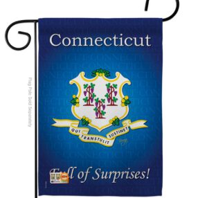 Connecticut - States Americana Vertical Impressions Decorative Flags HG108138 Made In USA
