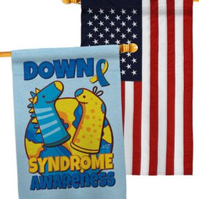 House Flag Awareness HP130424AC