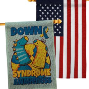 House Flag Awareness HP130424AC B