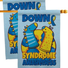 House Flag Awareness HP130424AE