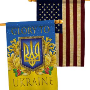 House Flag Cause HP170273AA