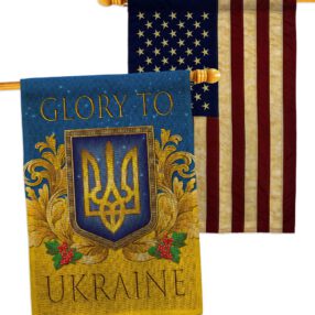 House Flag Cause HP170273AA B