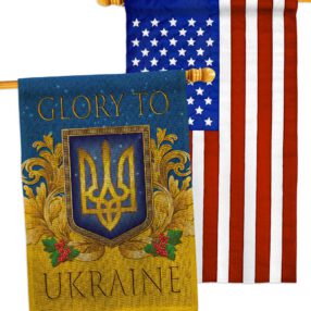 House Flag Cause HP170273AB B