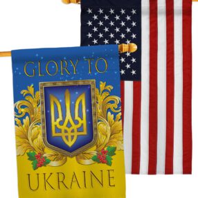 House Flag Cause HP170273AC