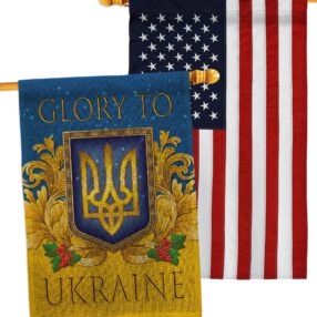 House Flag Cause HP170273AC B