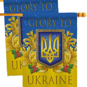 House Flag Cause HP170273AE