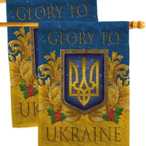 House Flag Cause HP170273AE B