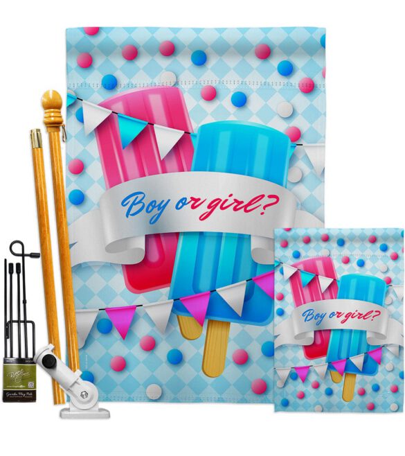 Gender Reveal - Family Special Occasion Vertical Impressions Decorative Flags HG137609 Made In USA - Image 6