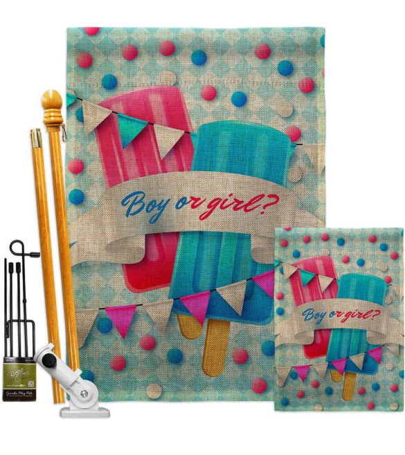 Gender Reveal - Family Special Occasion Vertical Impressions Decorative Flags HG137609 Made In USA - Image 18