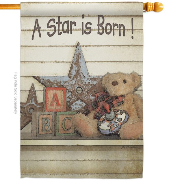 A Star is Born! - Family Special Occasion Vertical Impressions Decorative Flags HG115076 Made In USA - Image 3