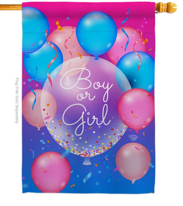 Boy Or Girl - Family Special Occasion Vertical Impressions Decorative Flags HG192675 Made In USA - Image 2