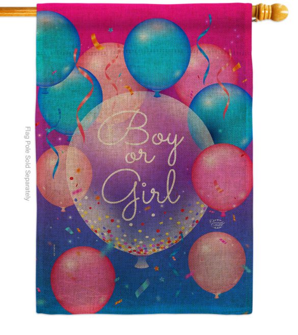 Boy Or Girl - Family Special Occasion Vertical Impressions Decorative Flags HG192675 Made In USA - Image 14