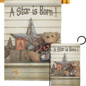 A Star is Born! - Family Special Occasion Vertical Impressions Decorative Flags HG115076 Made In USA
