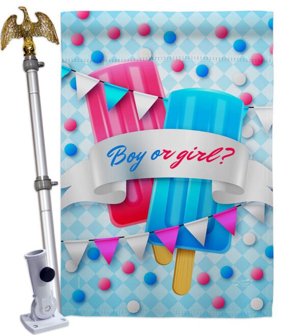 Gender Reveal - Family Special Occasion Vertical Impressions Decorative Flags HG137609 Made In USA - Image 11