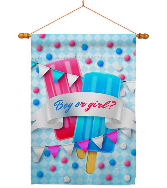 Gender Reveal - Family Special Occasion Vertical Impressions Decorative Flags HG137609 Made In USA - Image 12