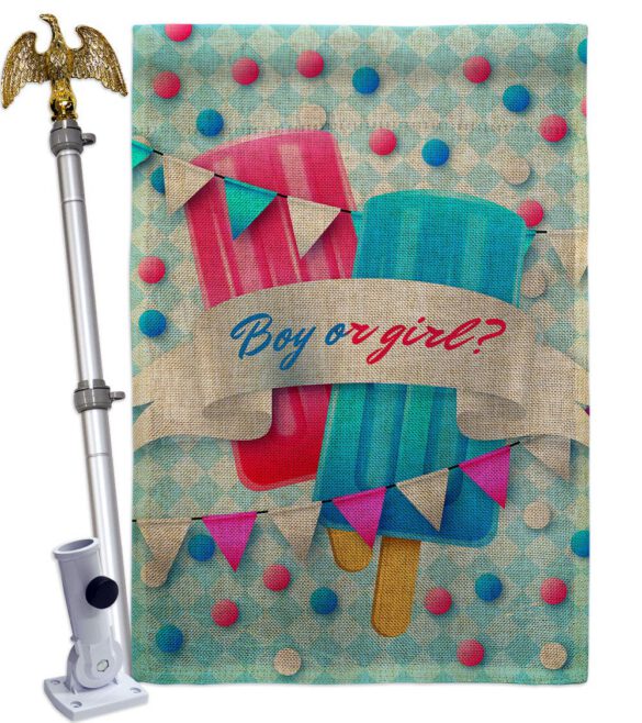 Gender Reveal - Family Special Occasion Vertical Impressions Decorative Flags HG137609 Made In USA - Image 23