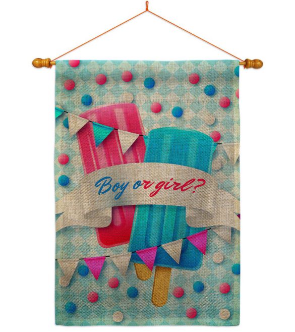 Gender Reveal - Family Special Occasion Vertical Impressions Decorative Flags HG137609 Made In USA - Image 24