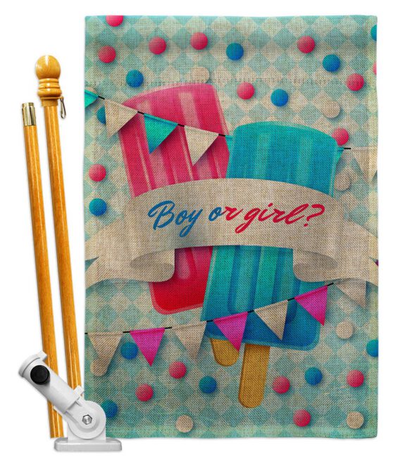 Gender Reveal - Family Special Occasion Vertical Impressions Decorative Flags HG137609 Made In USA - Image 17