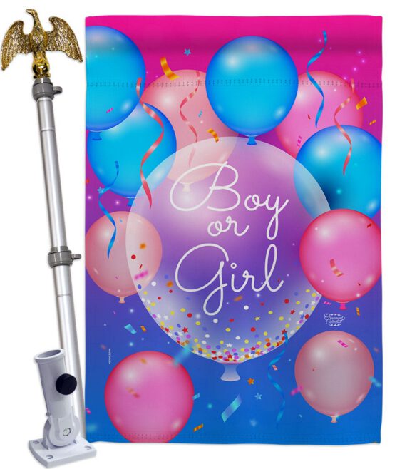 Boy Or Girl - Family Special Occasion Vertical Impressions Decorative Flags HG192675 Made In USA - Image 11