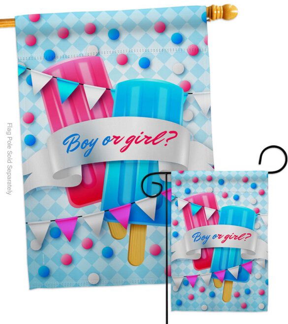 Gender Reveal - Family Special Occasion Vertical Impressions Decorative Flags HG137609 Made In USA - Image 3