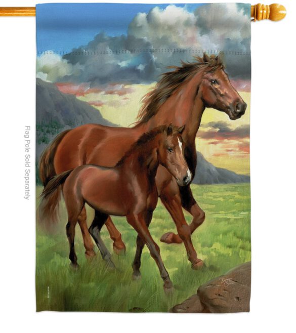 Americana Horse - Farm Animals Nature Vertical Impressions Decorative Flags HG110066 Made In USA - Image 3