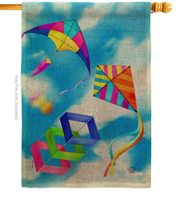 Blue Sky Kites - Fun In The Sun Summer Vertical Impressions Decorative Flags HG192641 Made In USA - Image 12