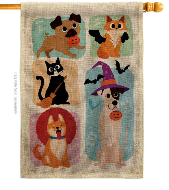 Halloween Dress Up - Halloween Fall Vertical Impressions Decorative Flags HG137623 Made In USA - Image 14