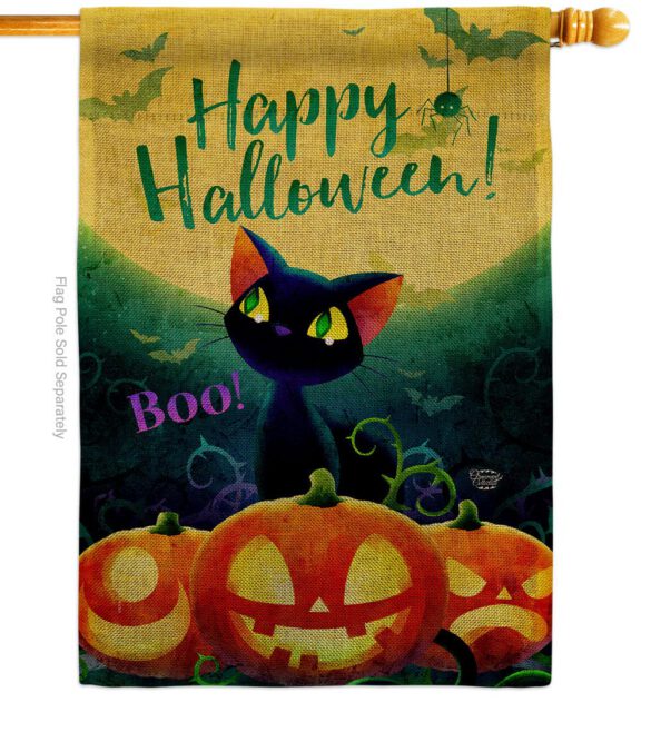 Cute Black Cat - Halloween Fall Vertical Impressions Decorative Flags HG192668 Made In USA - Image 14