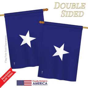 House Flag Historic H140687 03