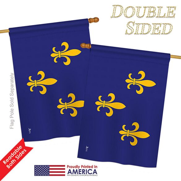 Fleur De Lis - Historic Americana Vertical Impressions Decorative Flags HG140712 Printed In USA - Image 5