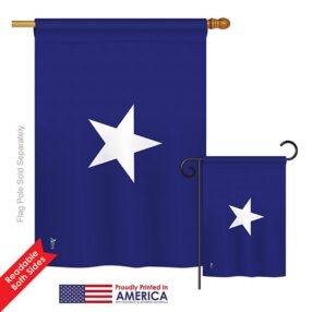 House Flag Historic HG140687 02