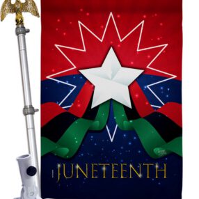 House Flag Historic HS108641 02