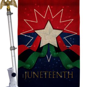 House Flag Historic HS108641 B 02