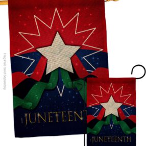 House Flag Historic S108641 B