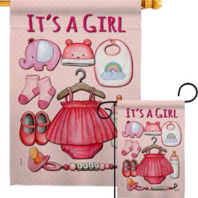 Baby Girl - Family Special Occasion Vertical Impressions Decorative Flags HG130339 Made In USA