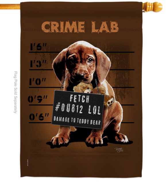 Crime Lab - Pets Nature Vertical Impressions Decorative Flags HG110002 Made In USA - Image 2