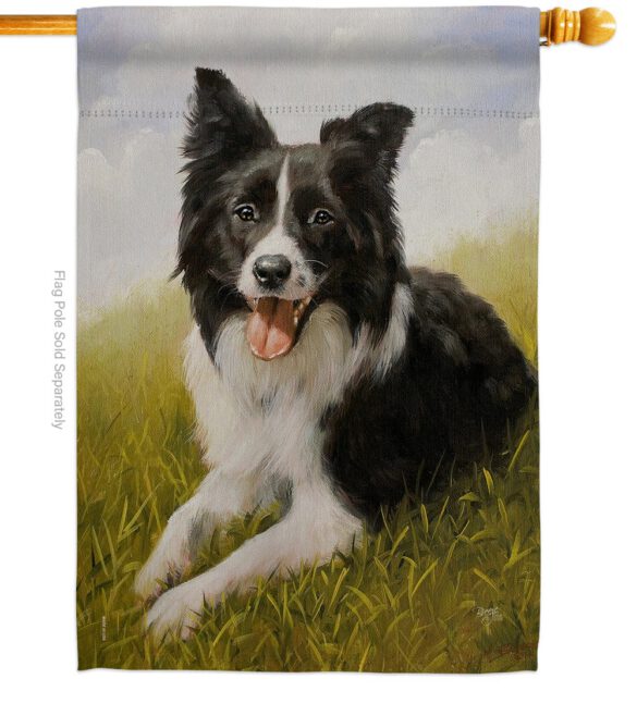 Border Collie - Pets Nature Vertical Impressions Decorative Flags HG110077 Made In USA - Image 2