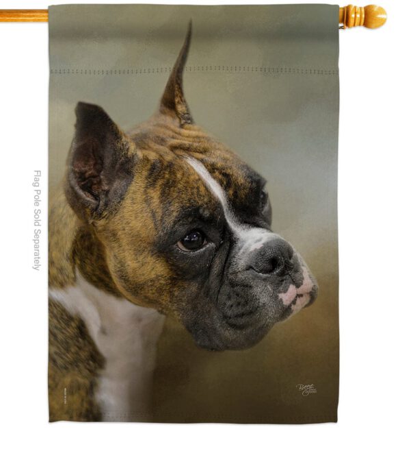 Boxer - Pets Nature Vertical Impressions Decorative Flags HG110091 Made In USA - Image 2