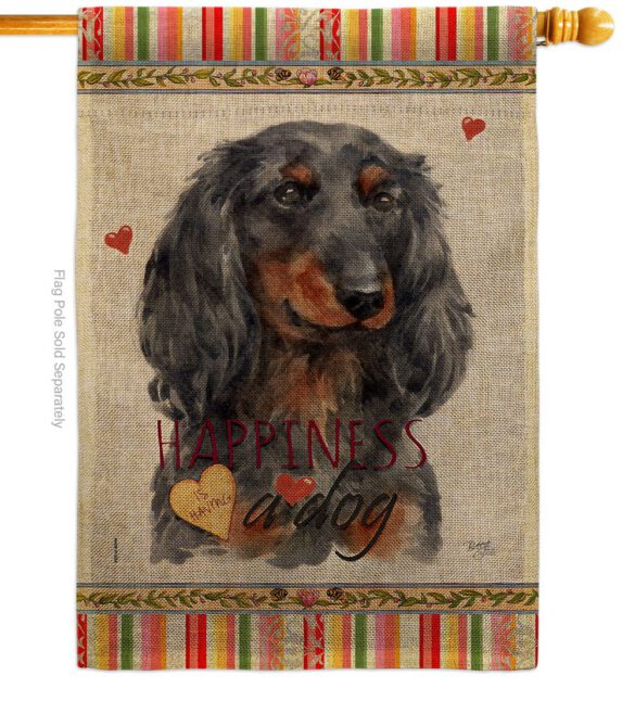 Blue Long Hair Dachshund Happiness - Pets Nature Vertical Impressions Decorative Flags HG110251 Made In USA - Image 12